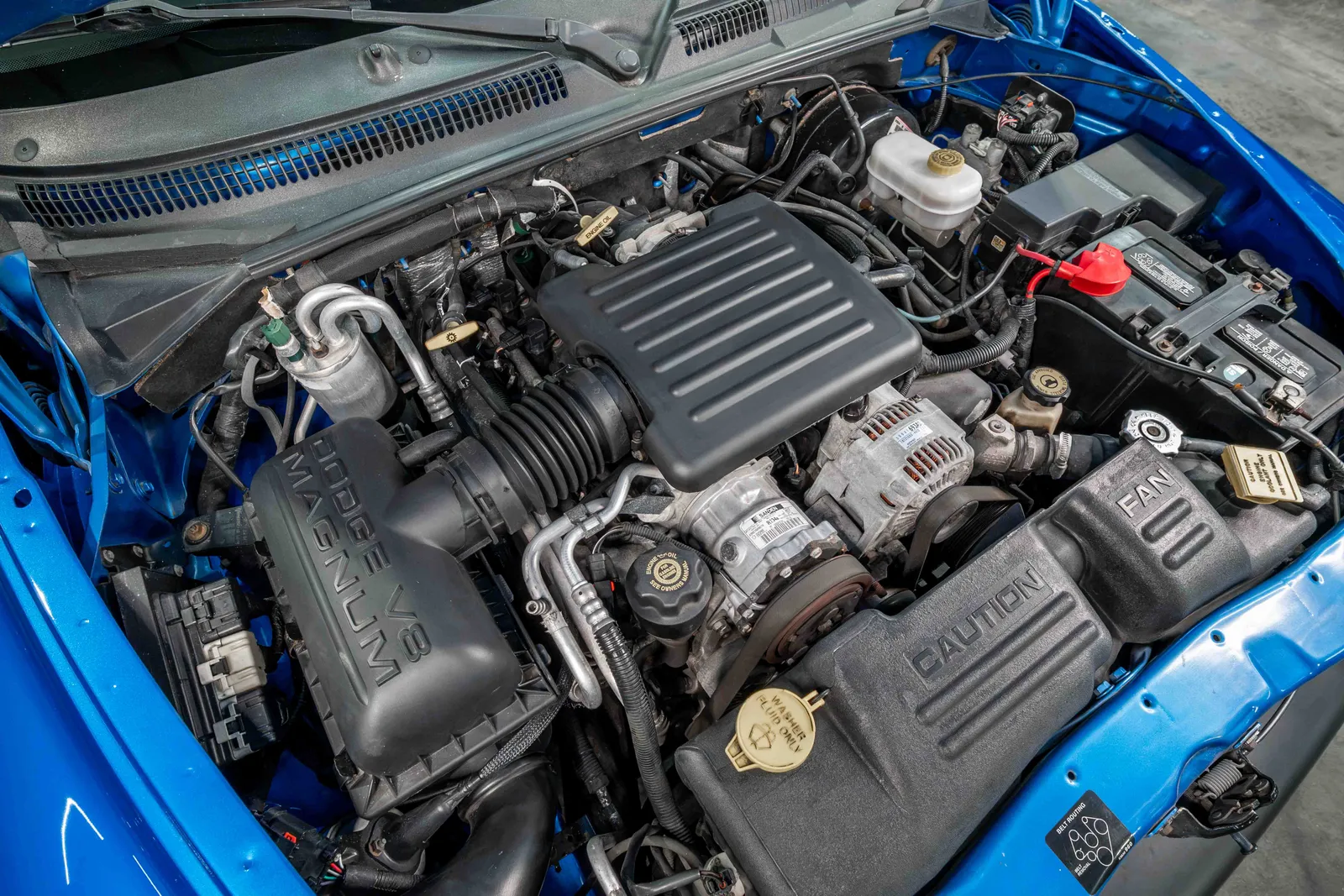 2001-Dodge-Dakota-Sport-Intense-Blue-Pearl-1B7GG26N41S159702-41.jpg