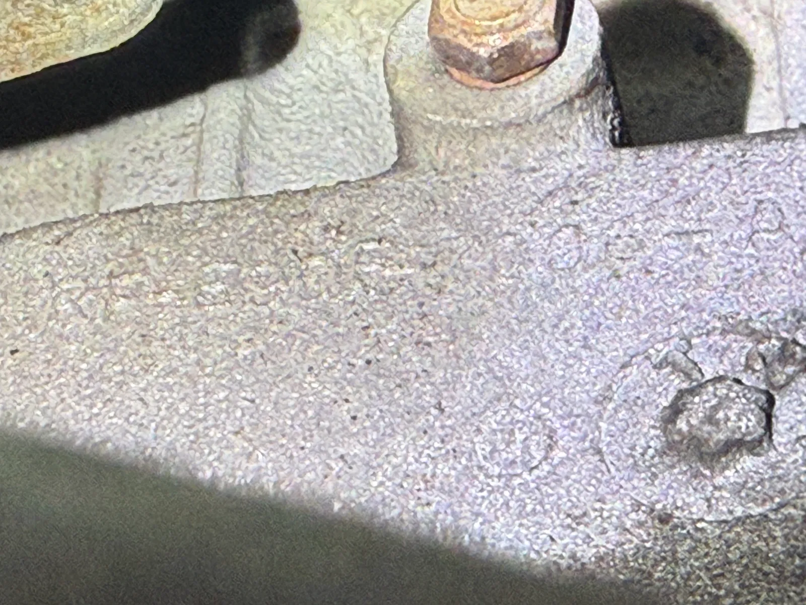 IMG_5250.jpeg