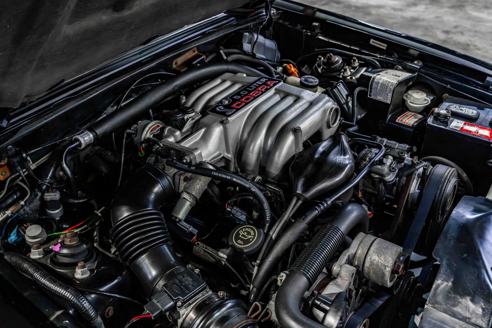 7_1993-Ford-SVT-Cobra-Black-177696-40.jpg