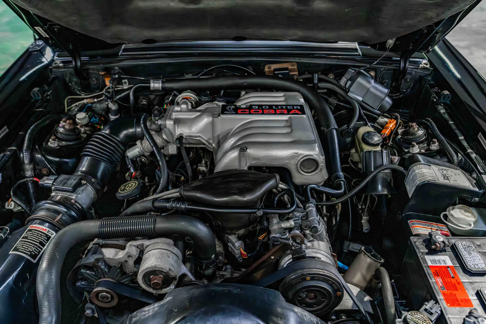 8_1993-Ford-SVT-Cobra-Black-177696-41.jpg