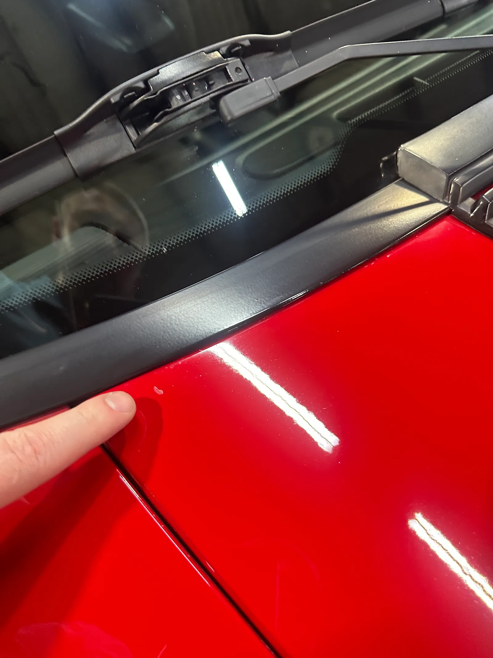 IMG_6972.JPG