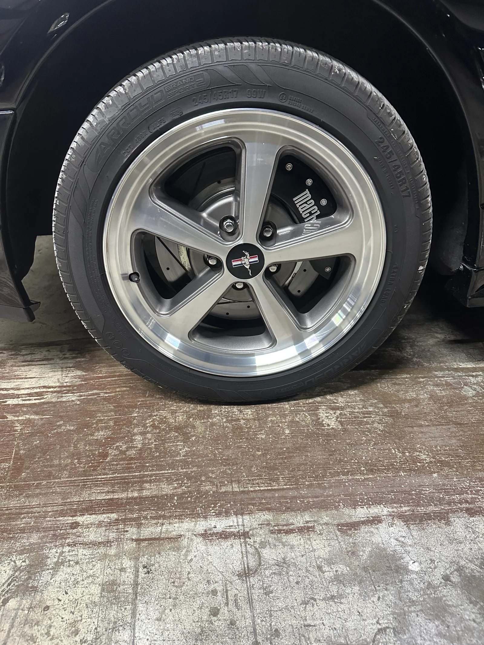 3_IMG_1187.JPG