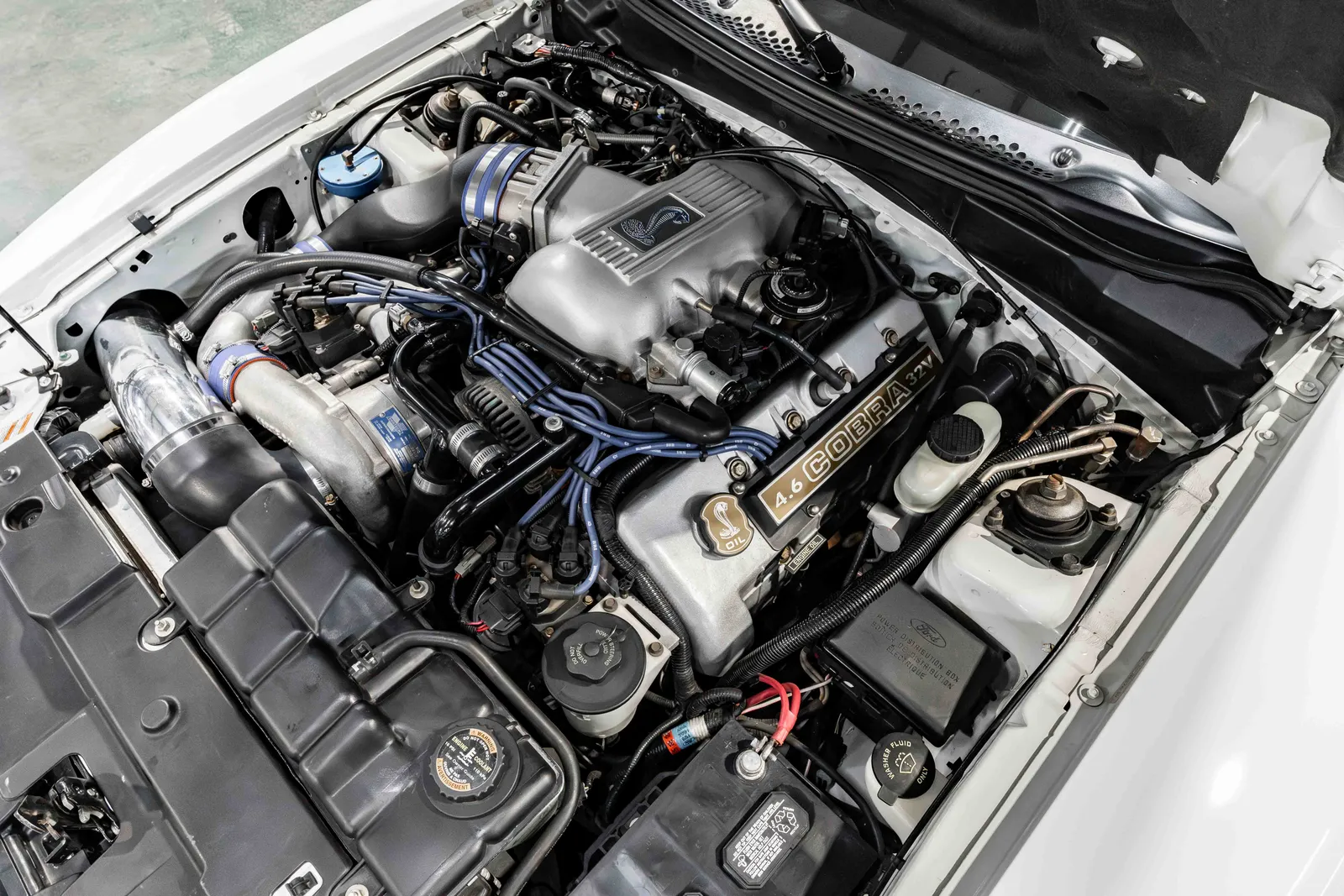 10_1998-Ford-Cobra-White-1FAFP47V2WF225367-46.jpg