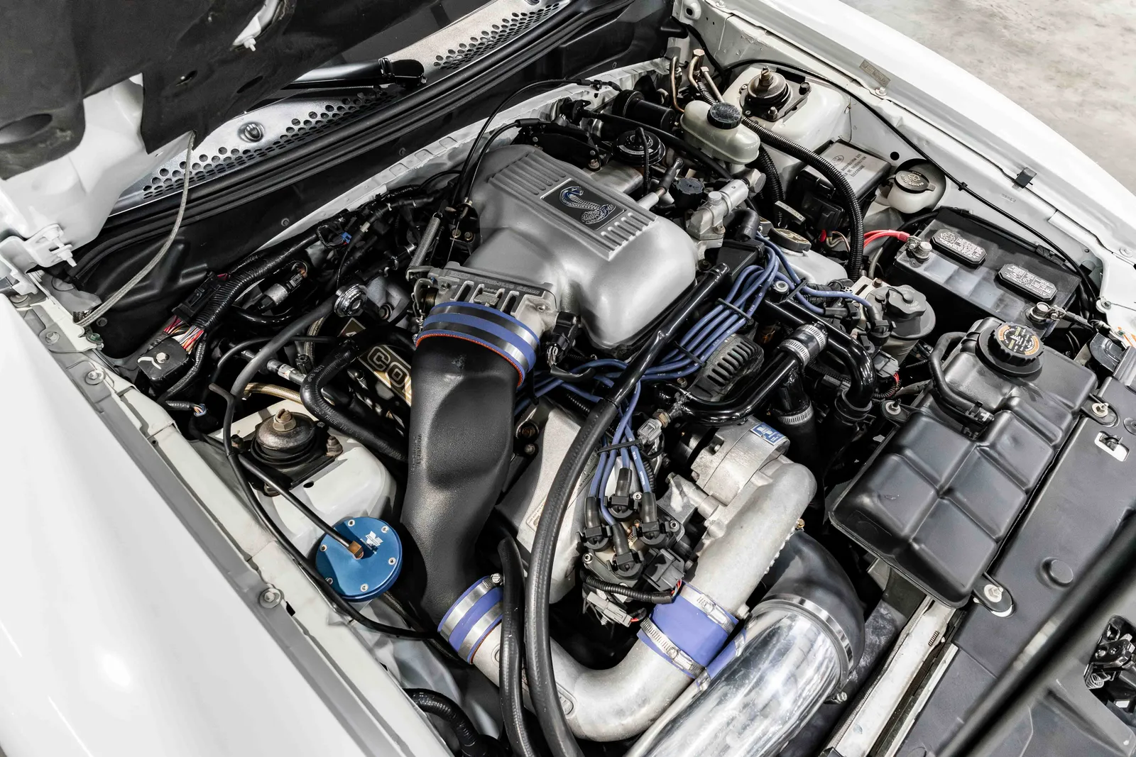 8_1998-Ford-Cobra-White-1FAFP47V2WF225367-44.jpg