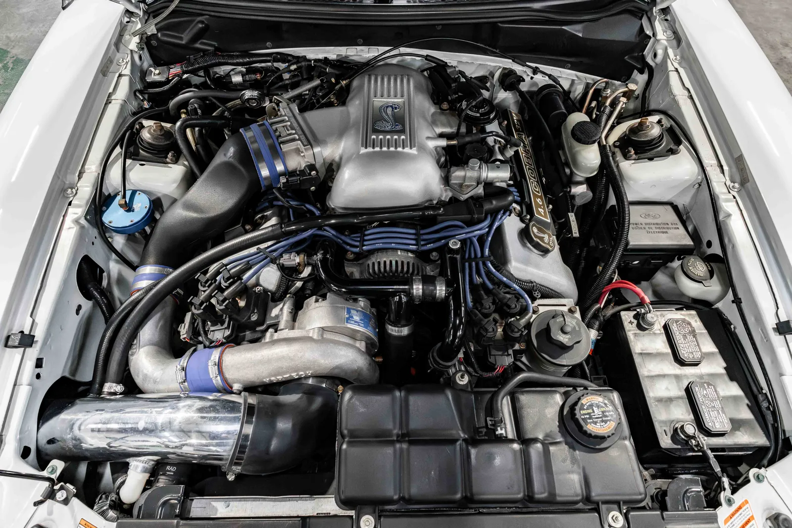 9_1998-Ford-Cobra-White-1FAFP47V2WF225367-45.jpg