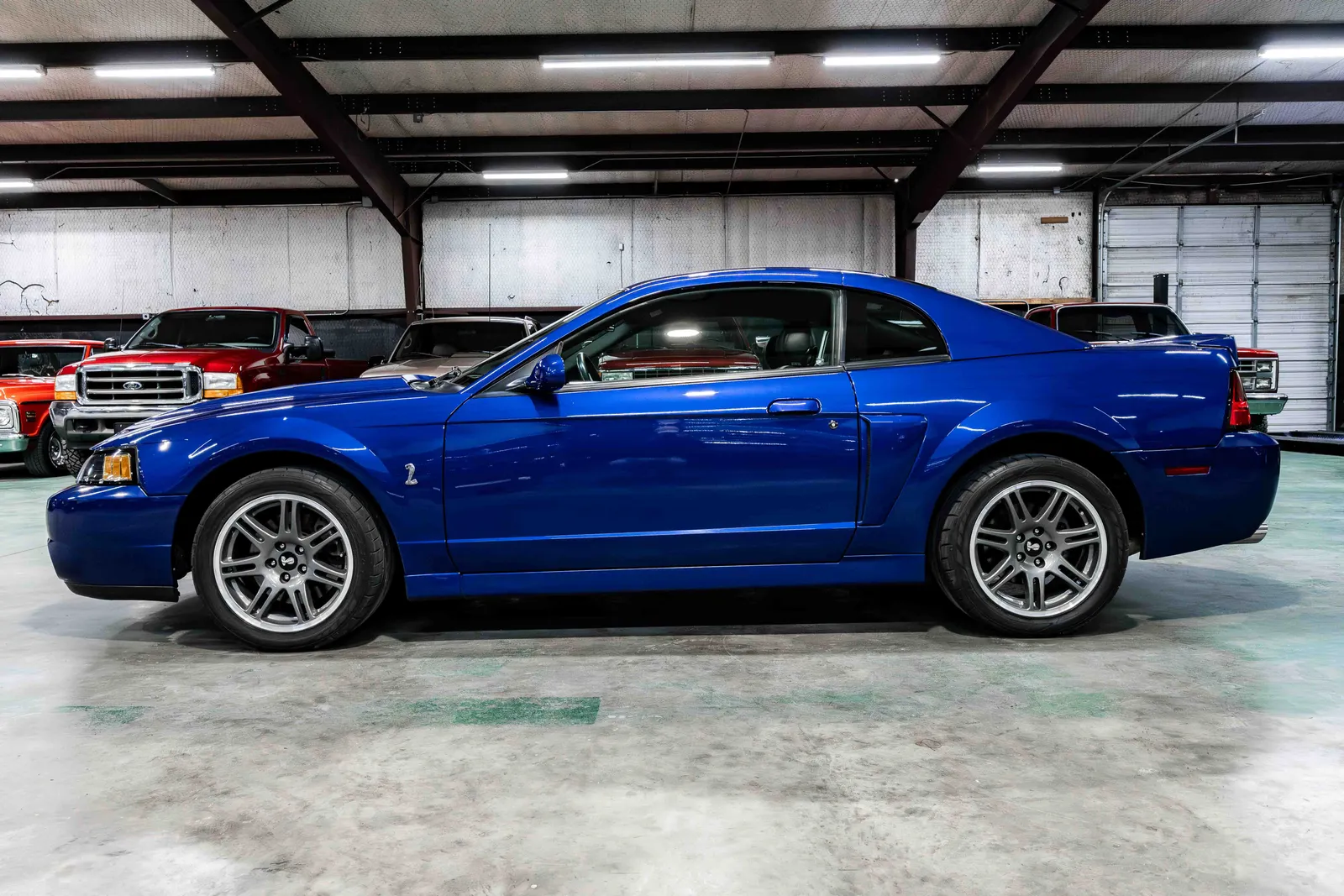2003-Ford-Cobra-Blue-1FAFP48Y03F435437-34.jpg