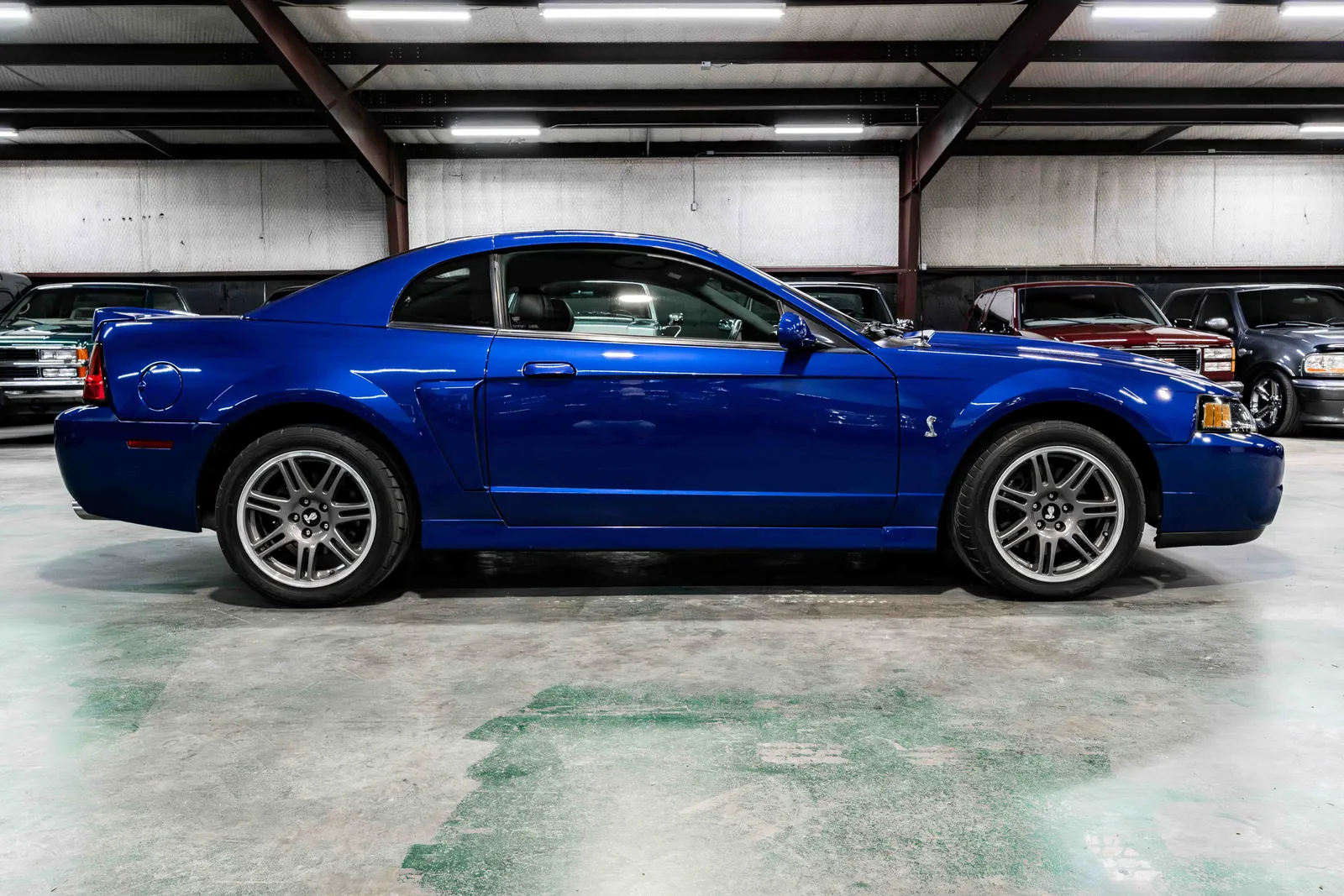 2003-Ford-Cobra-Blue-1FAFP48Y03F435437-38.jpg