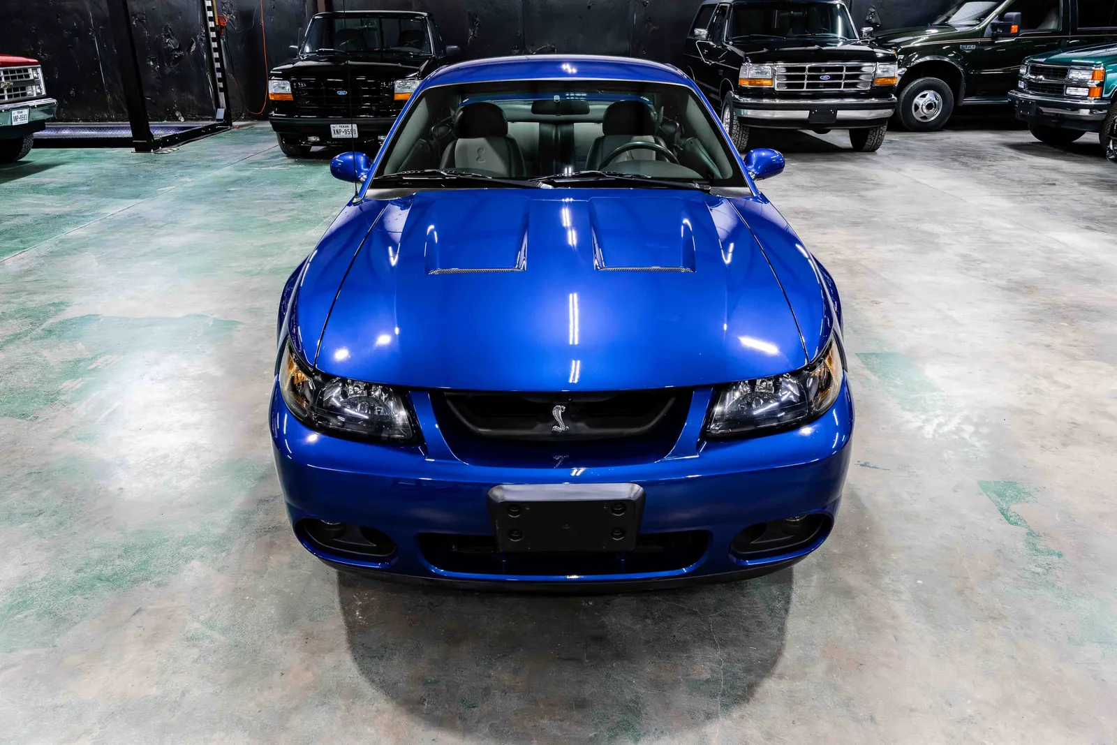 2003-Ford-Cobra-Blue-1FAFP48Y03F435437-40.jpg