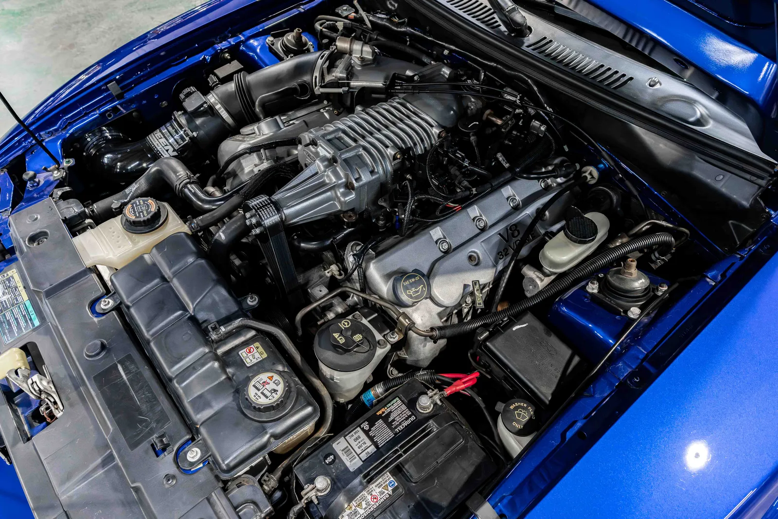2003-Ford-Cobra-Blue-1FAFP48Y03F435437-43.jpg