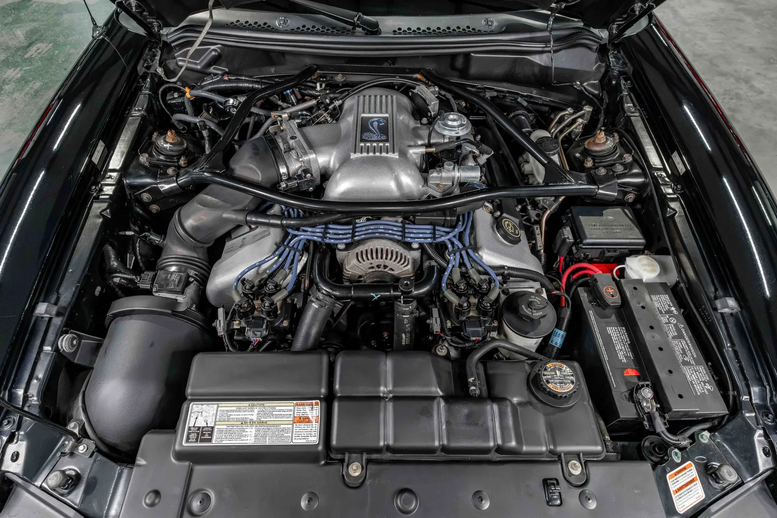 1996-Ford-Mustang-SVT-Cobra-Black-1FALP47V2TF136543-42.jpg