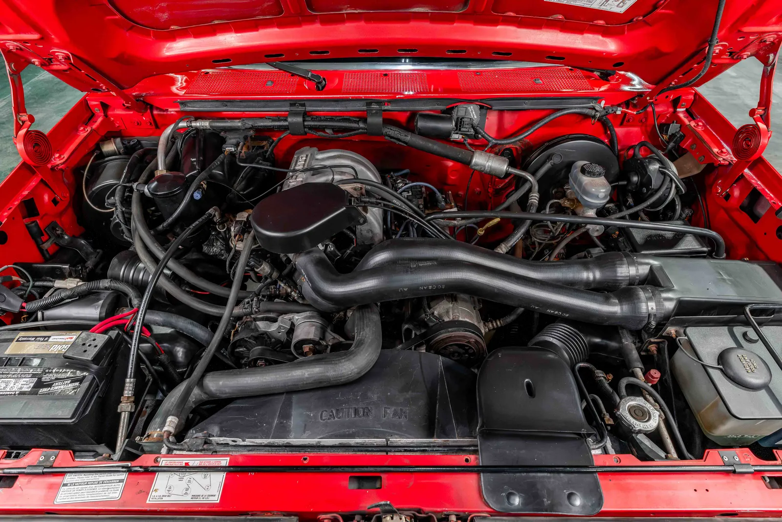 1992-Ford-F150-Vermilion-1FTDF15N8NNA68180-42.jpg