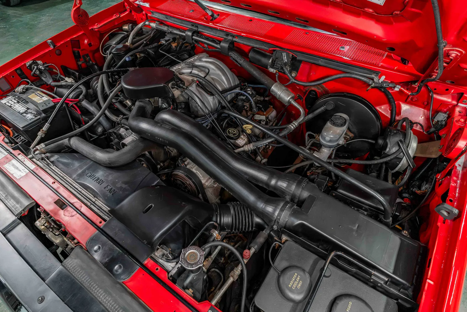 1992-Ford-F150-Vermilion-1FTDF15N8NNA68180-43.jpg