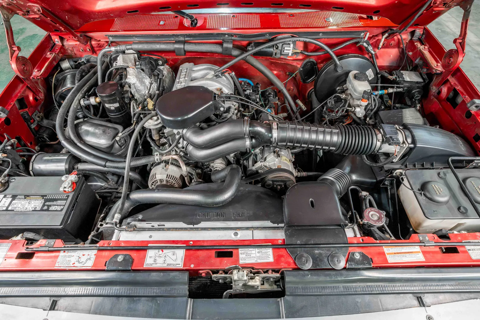 1996-Ford-F150-Toreador-Red-Metallic-1FTEF14N1TLB81337--42.jpg