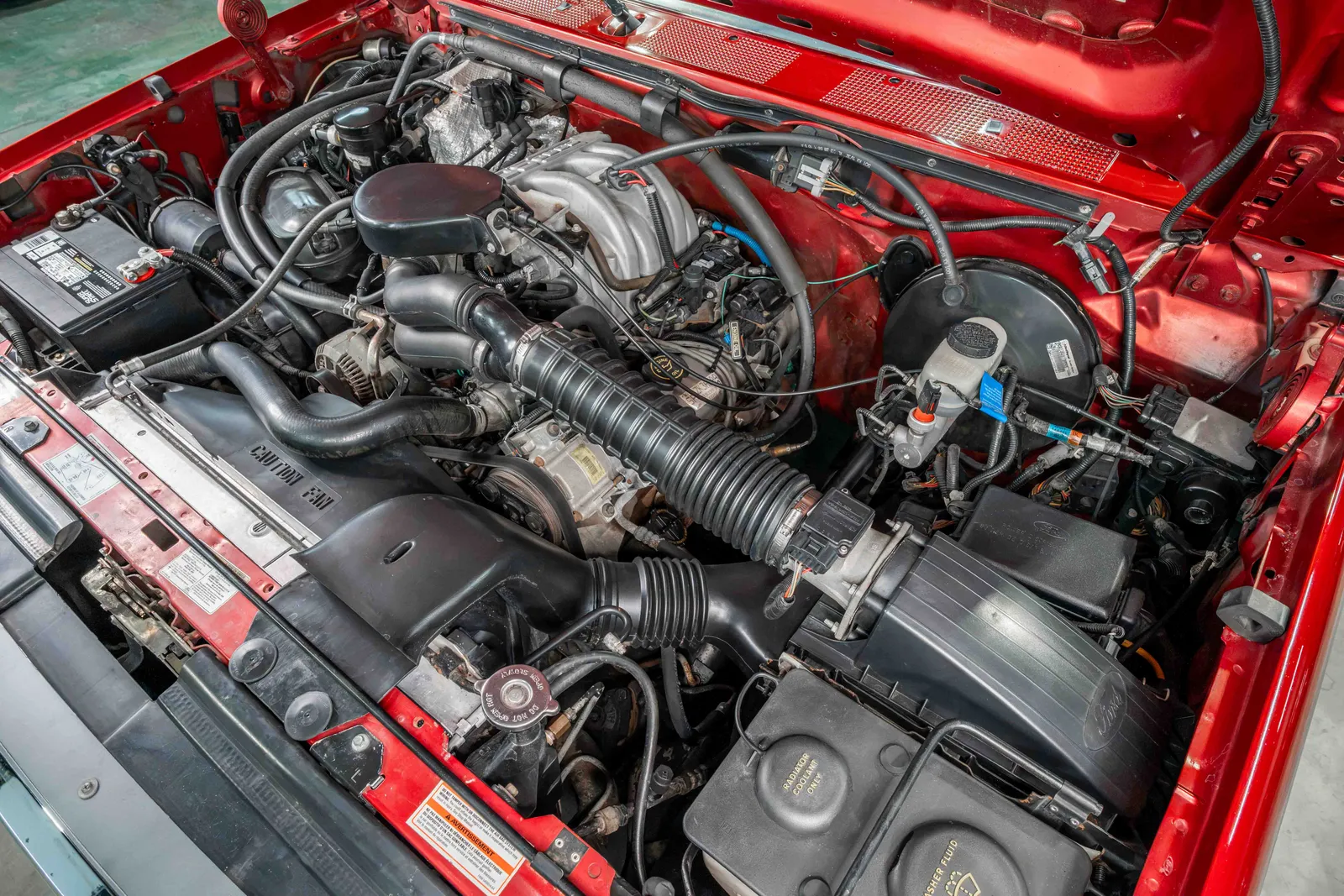 1996-Ford-F150-Toreador-Red-Metallic-1FTEF14N1TLB81337--43.jpg