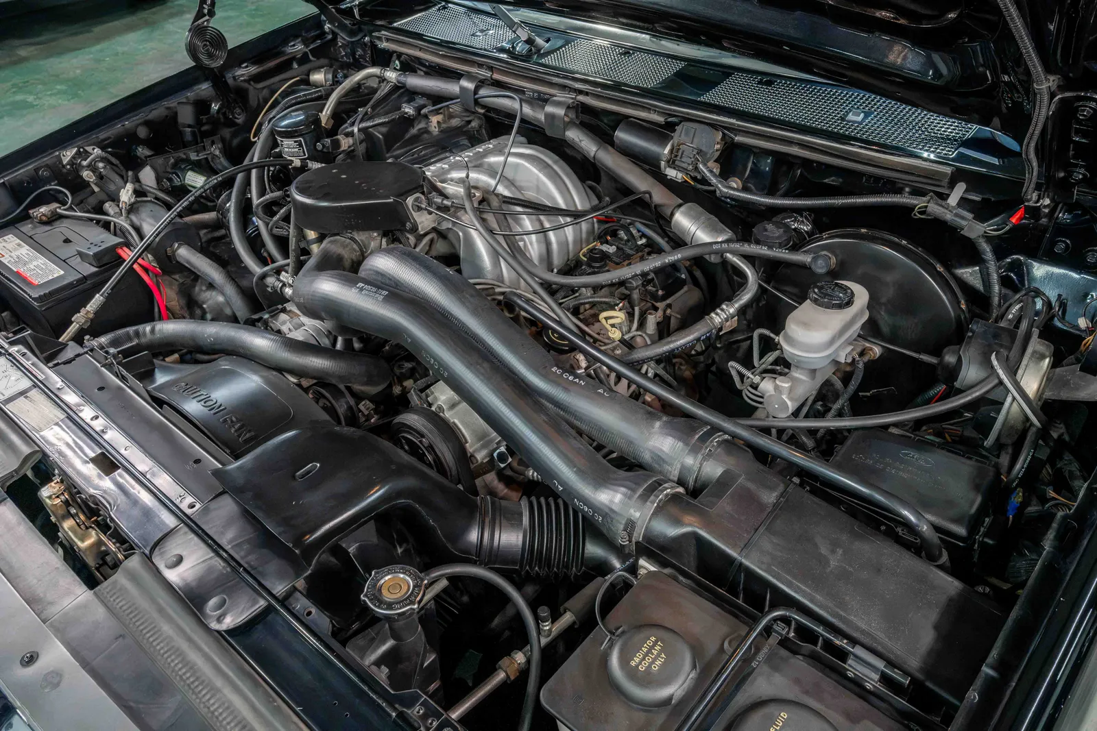 1992-Ford-F150-Black-1FTEF14N9NPA65699-43.jpg