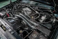 1992-Ford-F150-Black-1FTEF14N9NPA65699-43.jpg