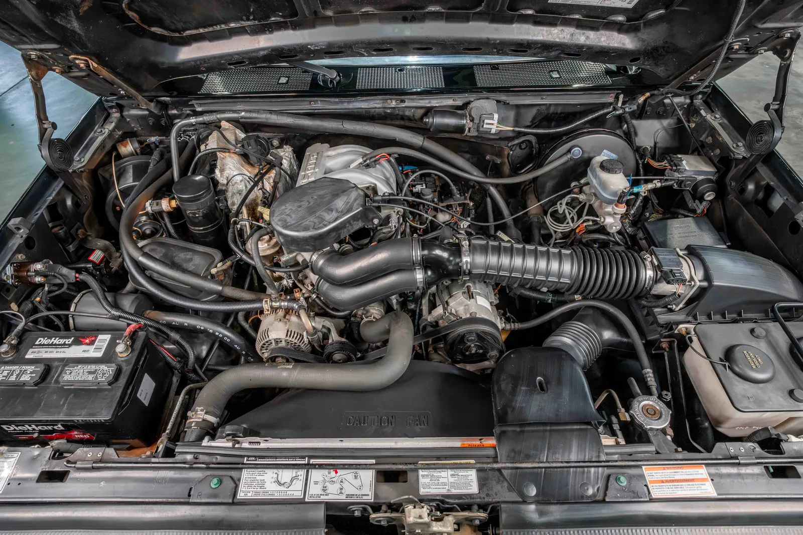 1996-Ford-F150-Black-1FTEF15N6TNA33705-42.jpg