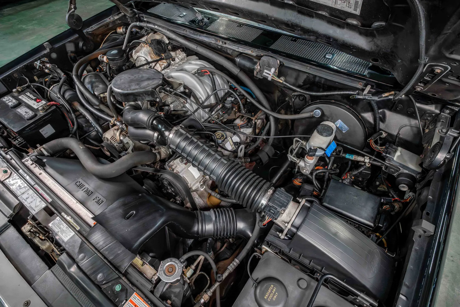 1996-Ford-F150-Black-1FTEF15N6TNA33705-43.jpg