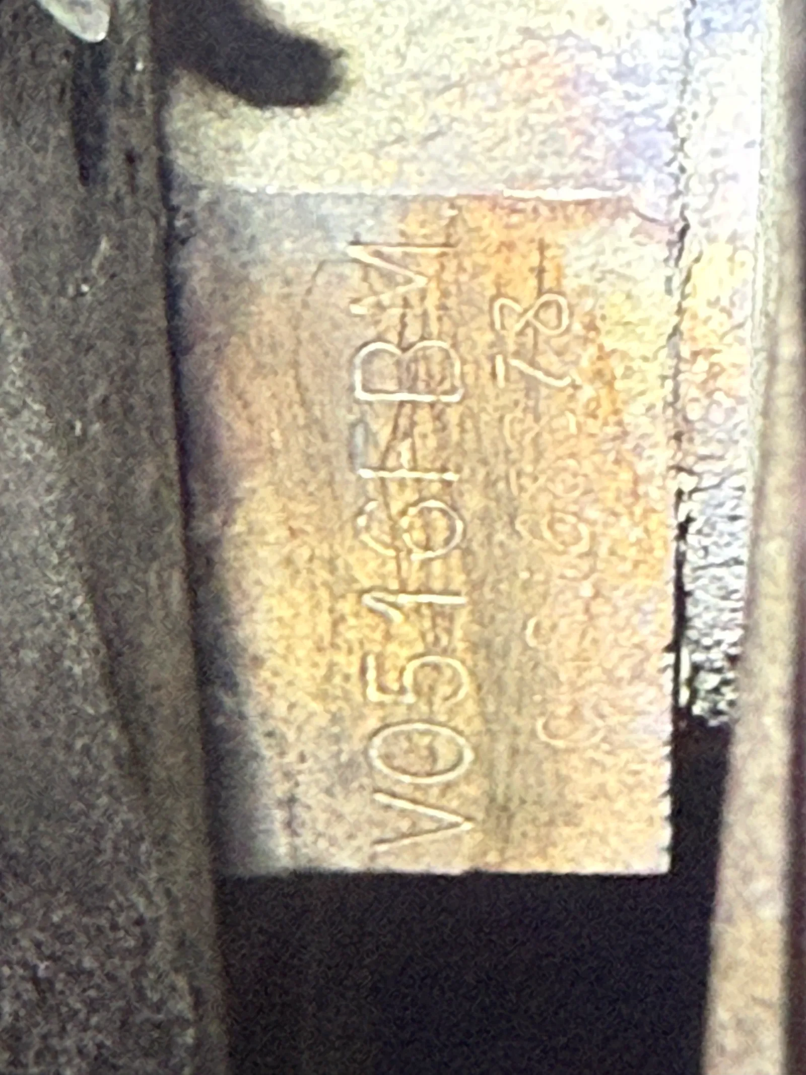 IMG_7603.jpeg