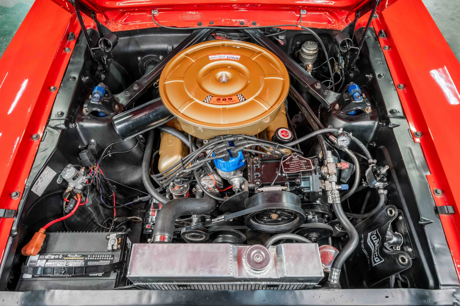 1965-Ford-Mustang-Red-5F07C764906-42.jpg