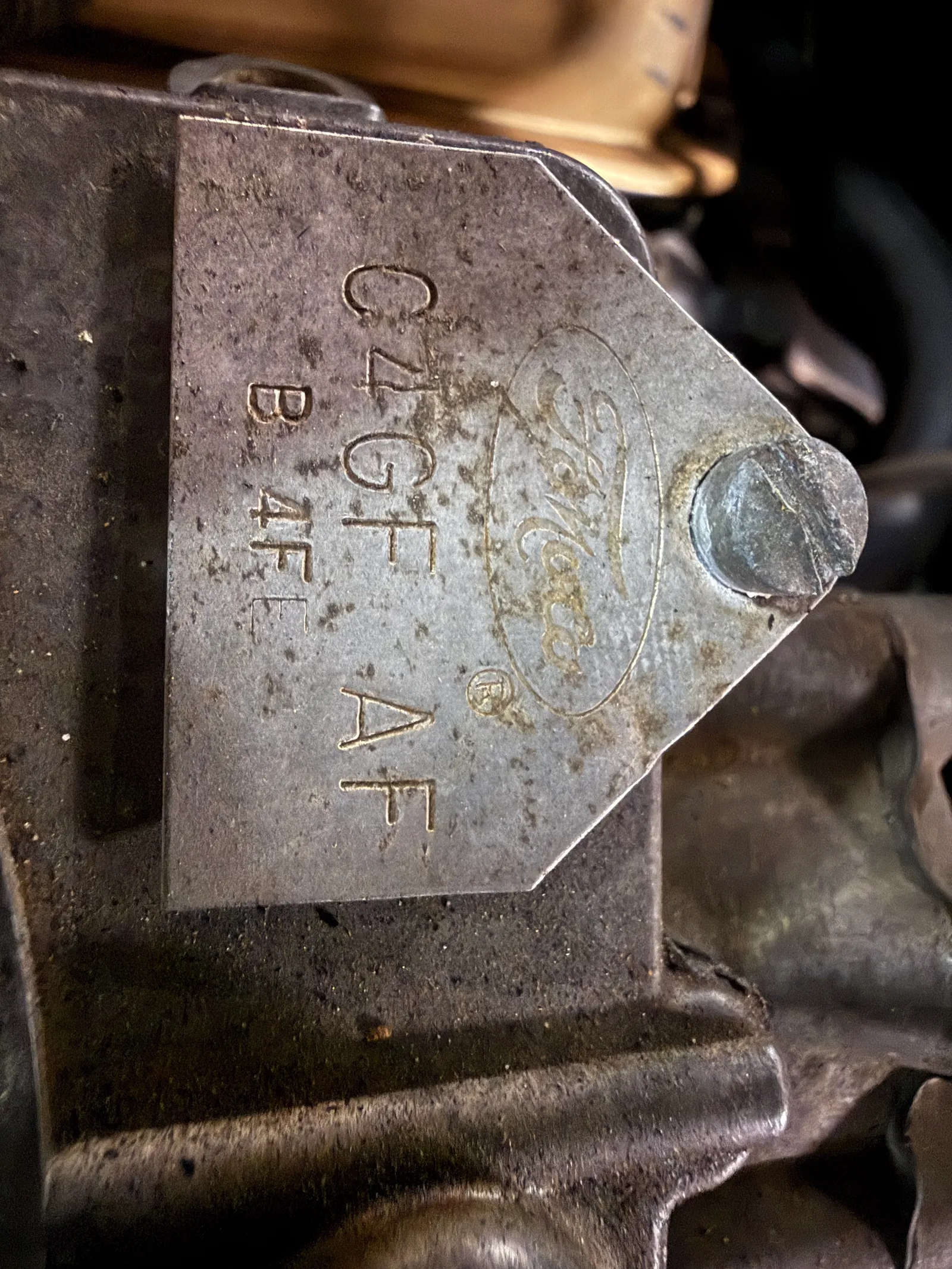 IMG_7177.JPG