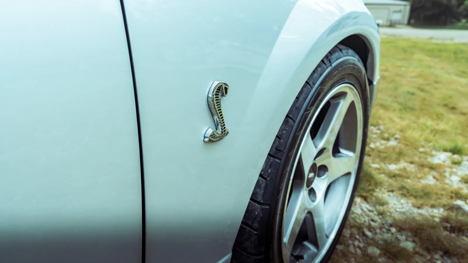 Cobra Supercharger Whine The Best Car Sounds Ever!