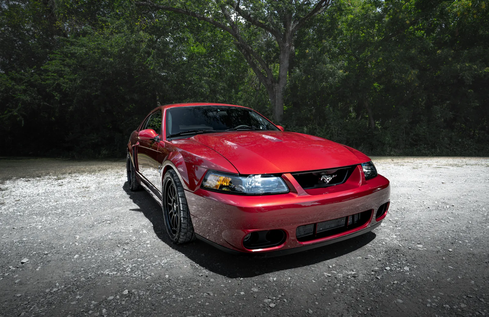2003 Ford Cobra - Test Drive