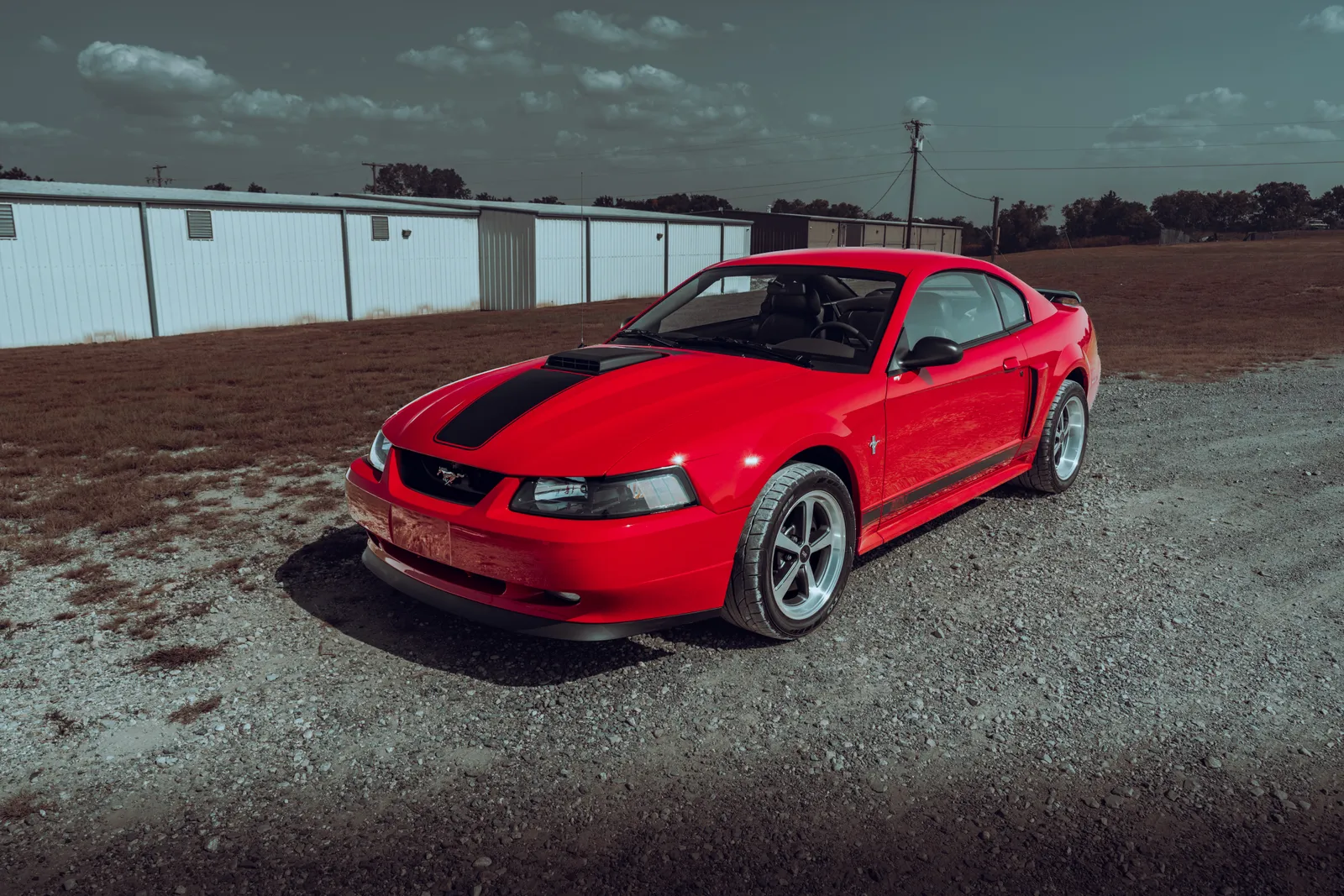 2003 Mach 1 Mustang Paint Quality & Wheel Upgrade