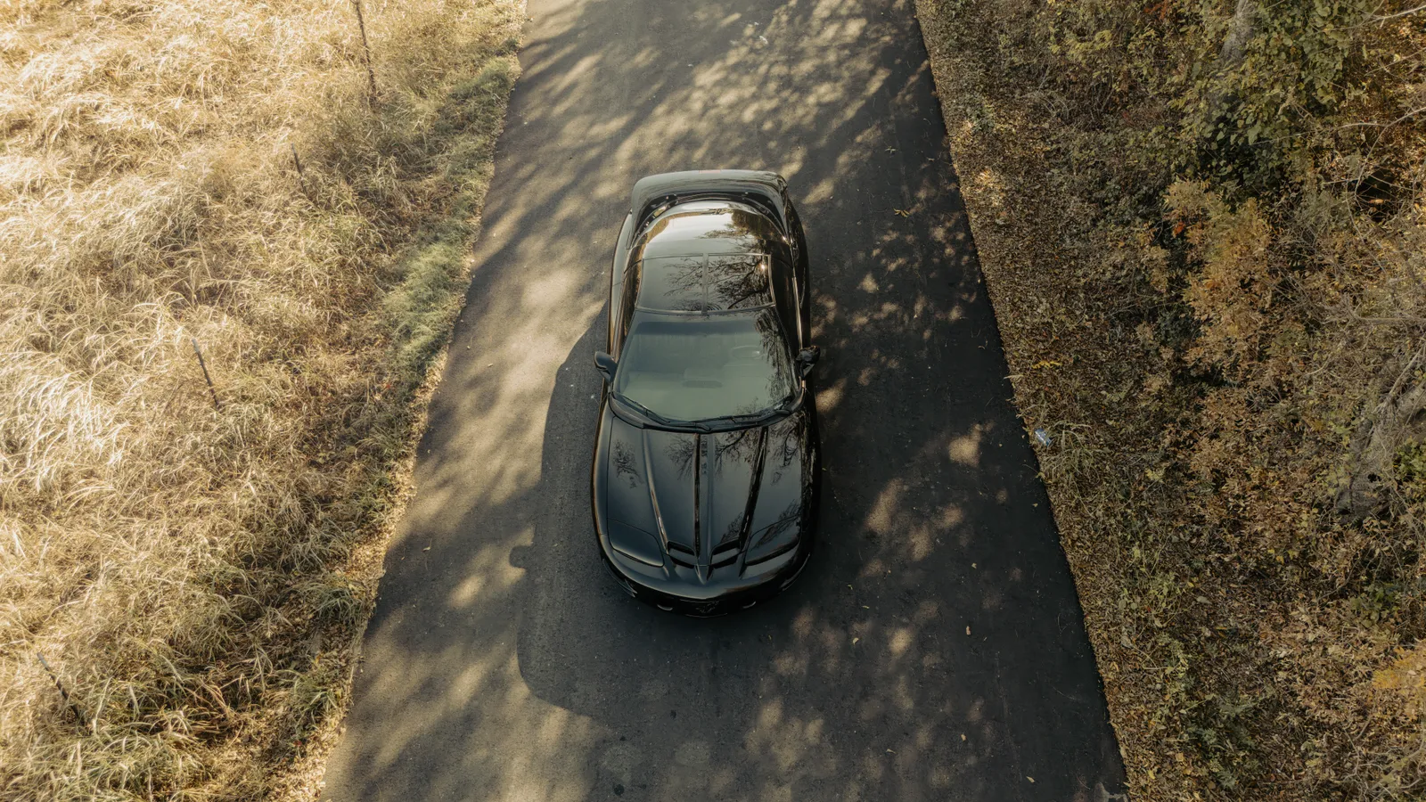 WS6 Trans Am Stock Sound, Low Miles!