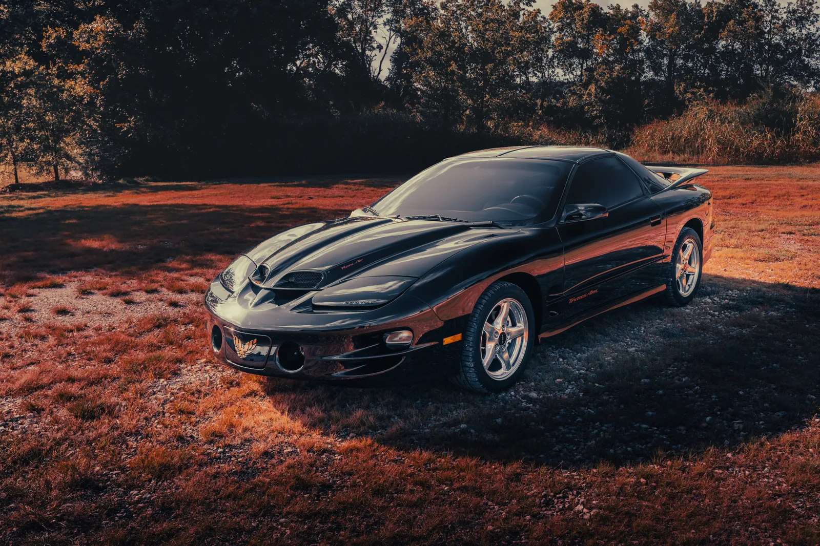 Collector's Dream: Low Mileage WS6 6-Speed Manual!
